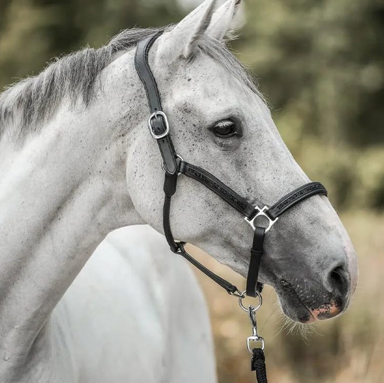 Horse Advent Calendar – photo 6