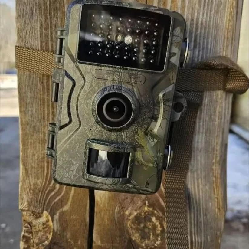 1080p Trail Camera – photo 3