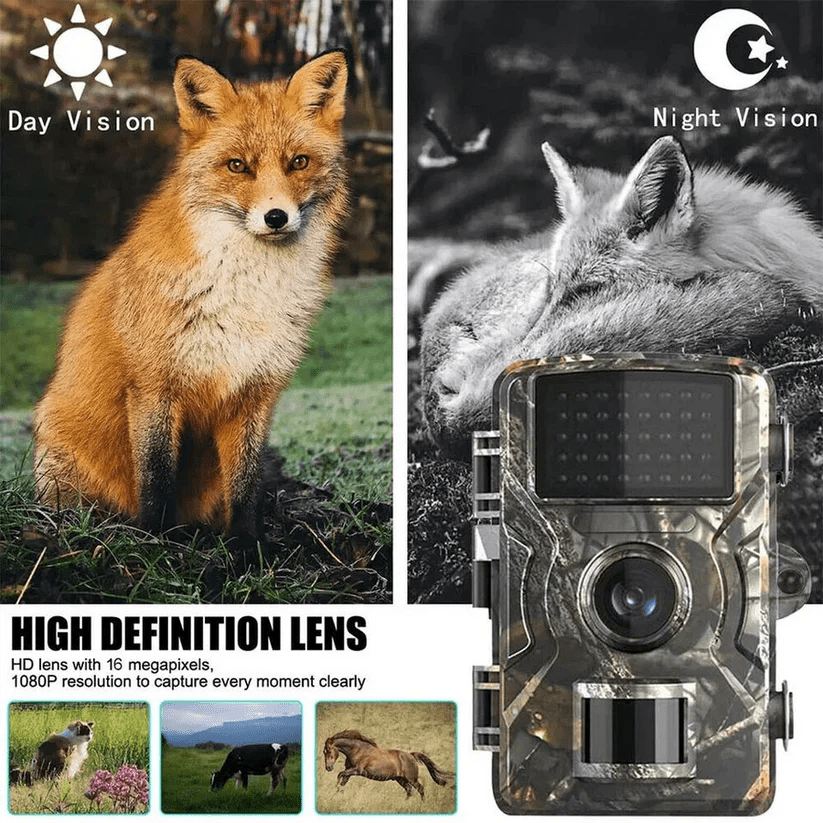 1080p Trail Camera – photo 4