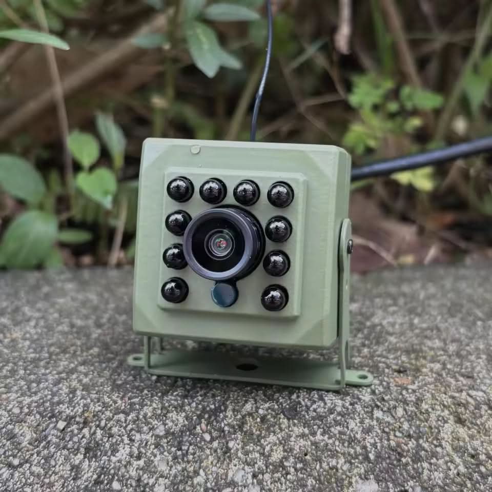 Bird Nest Camera – photo 2