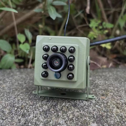 Bird Nest Camera – photo 2