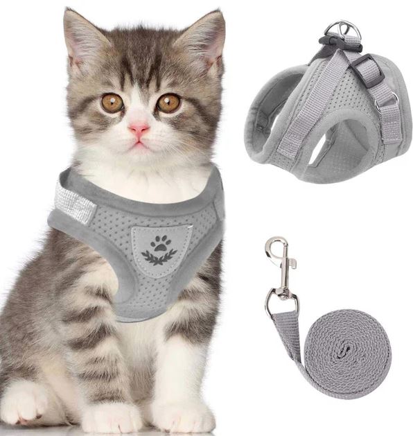 Breathable Cat Harness – photo 4