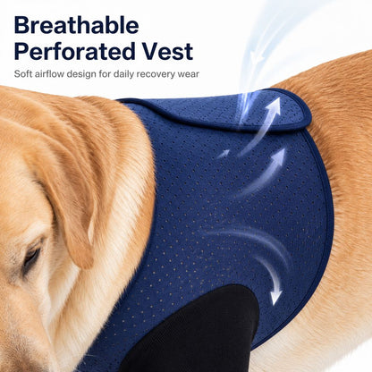 Dog Front Leg Recovery Sleeves – photo 6
