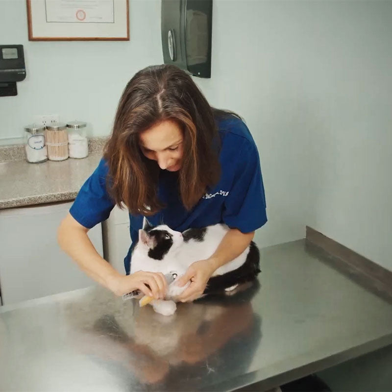 Dog Nail Clipper – photo 13