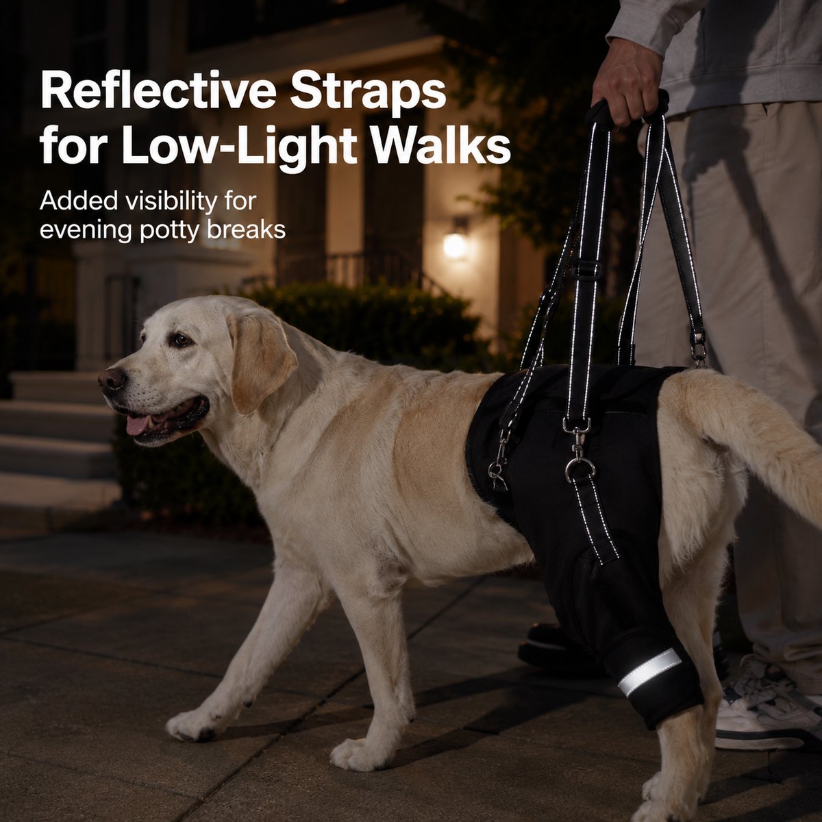 Dog Rear Leg Lift Harness – photo 3