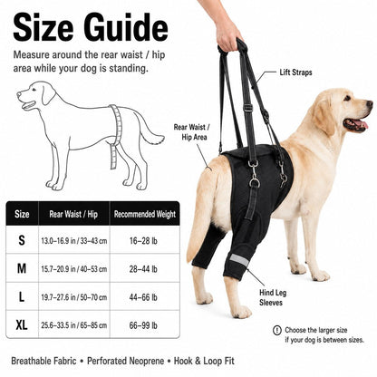 Dog Rear Leg Lift Harness – photo 9
