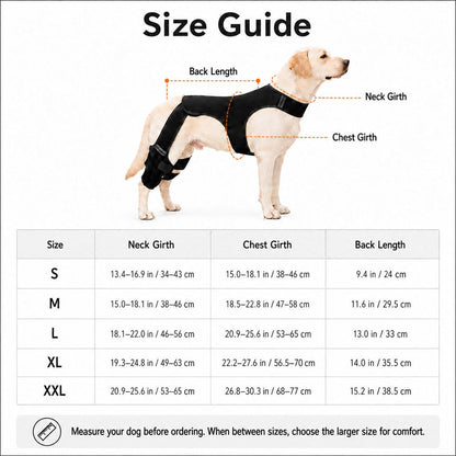 Dog Rear Leg Support Brace – photo 10