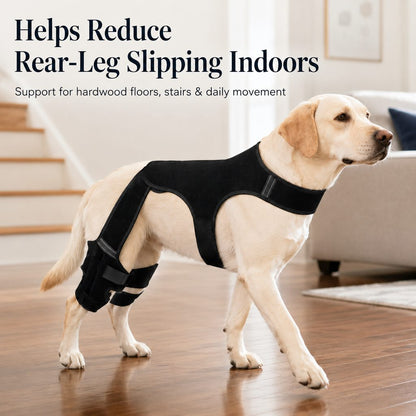 Dog Rear Leg Support Brace – photo 3