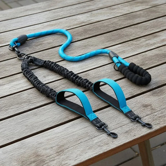 Double Dog Leash