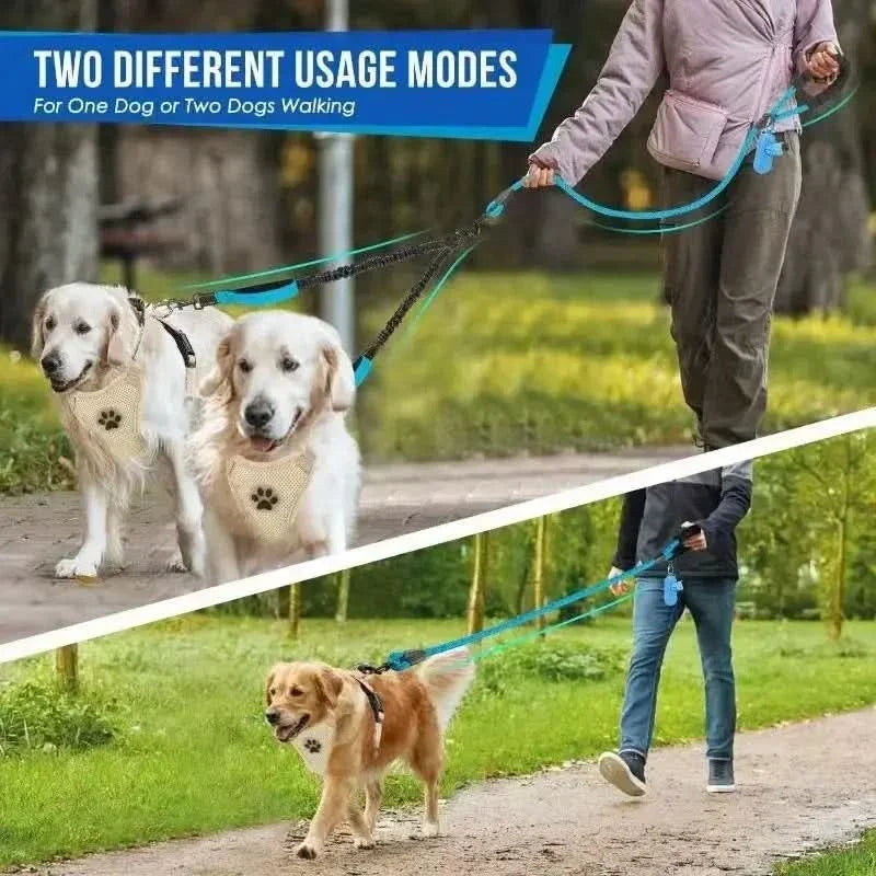 Double Dog Leash – photo 4