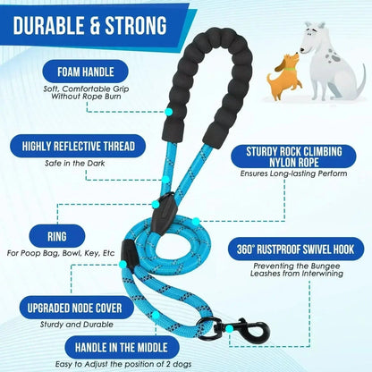 Double Dog Leash – photo 5