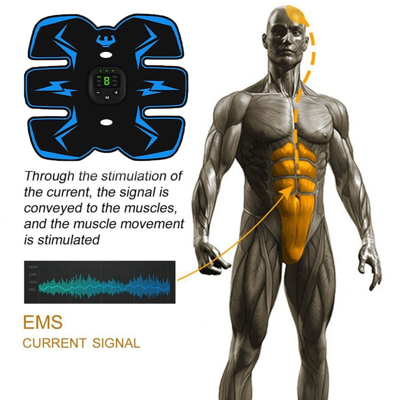 Abdominal Muscle Toner – photo 9