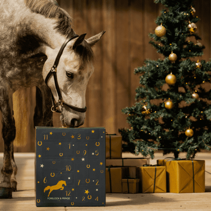 Horse Advent Calendar