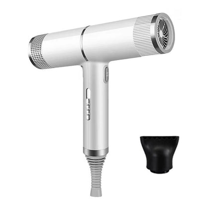 Ionic Hair Dryer