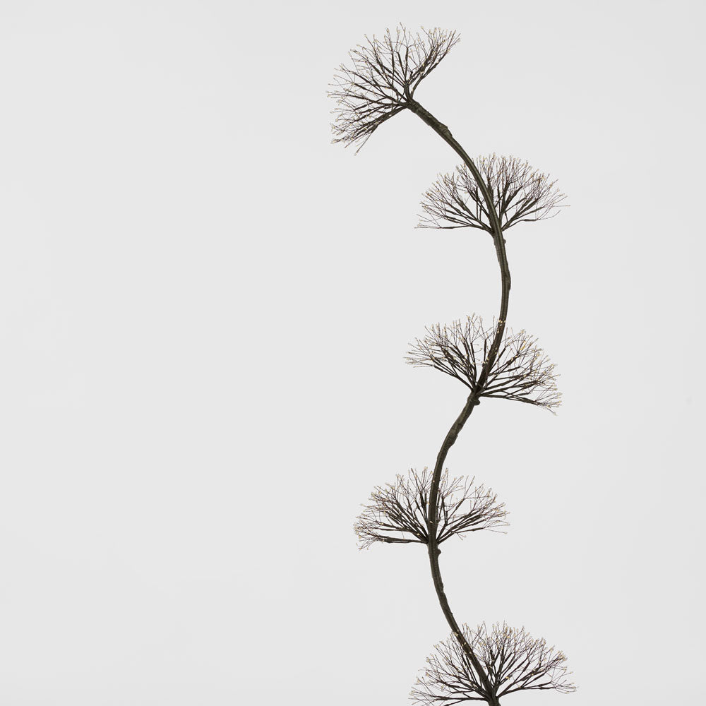 Light Up Dandelion 150cm 1200 LED – photo 4