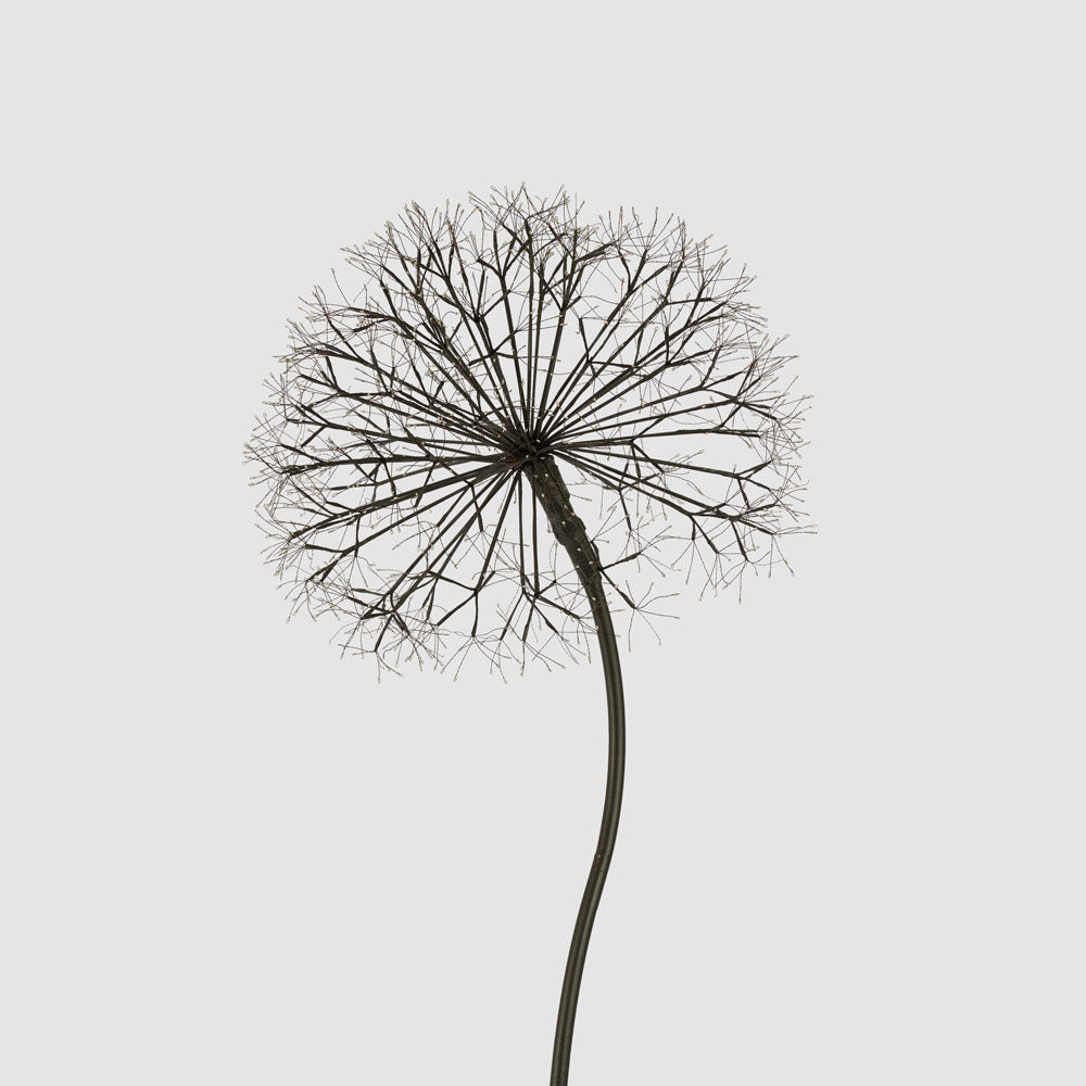Light Up Dandelion Tree 210cm – photo 4