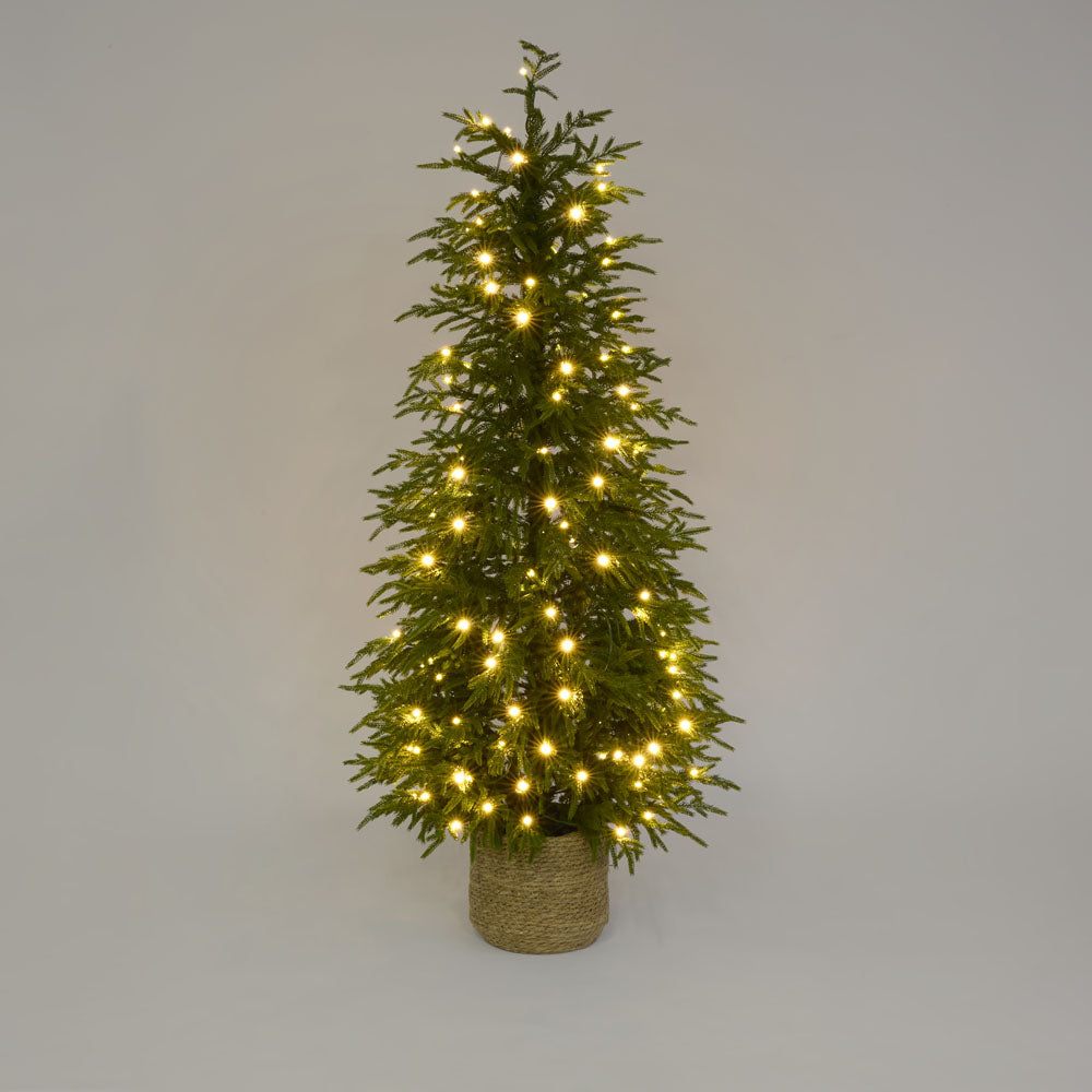 Light Up Potted Christmas Tree 150cm