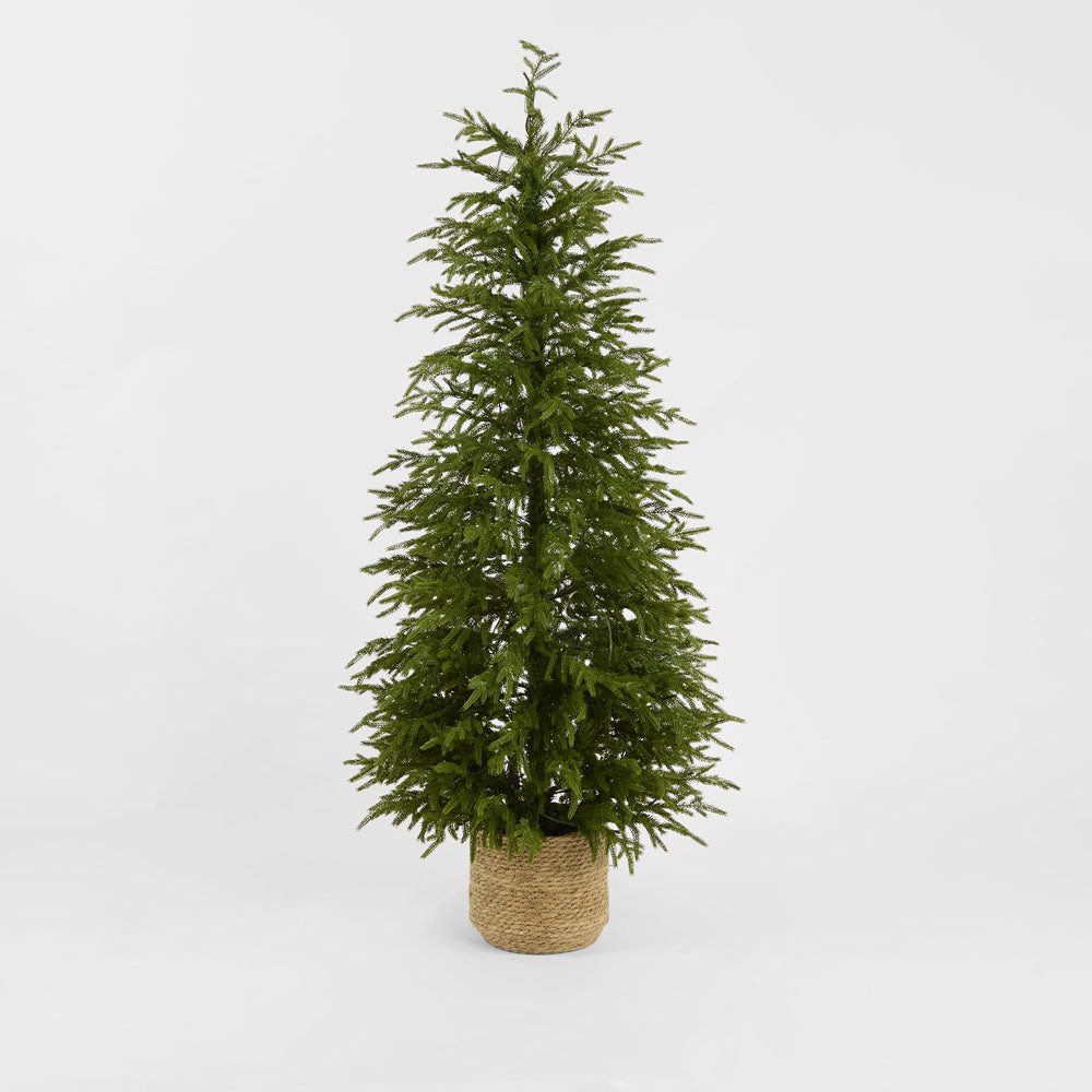 Light Up Potted Christmas Tree 150cm – photo 2