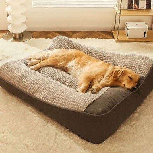 Orthopedic Dog Bed