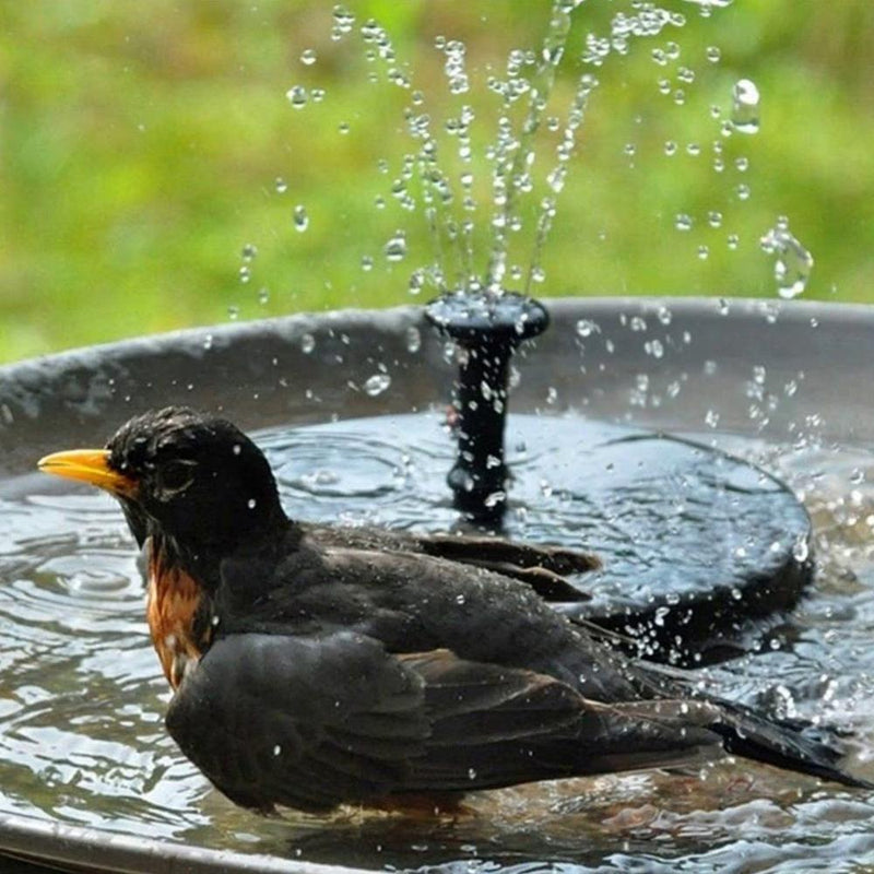 Solar Fountain Pump – photo 2