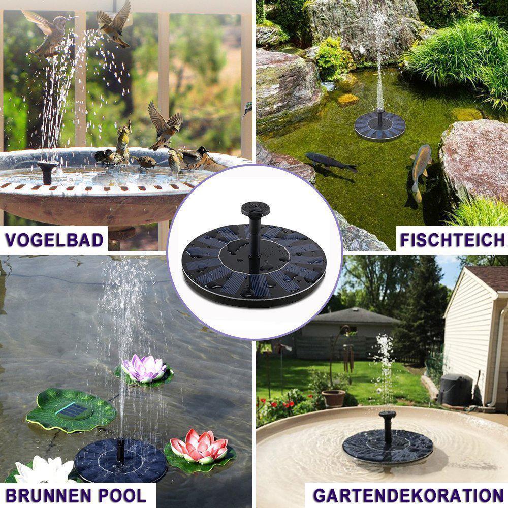 Solar Fountain Pump – photo 7
