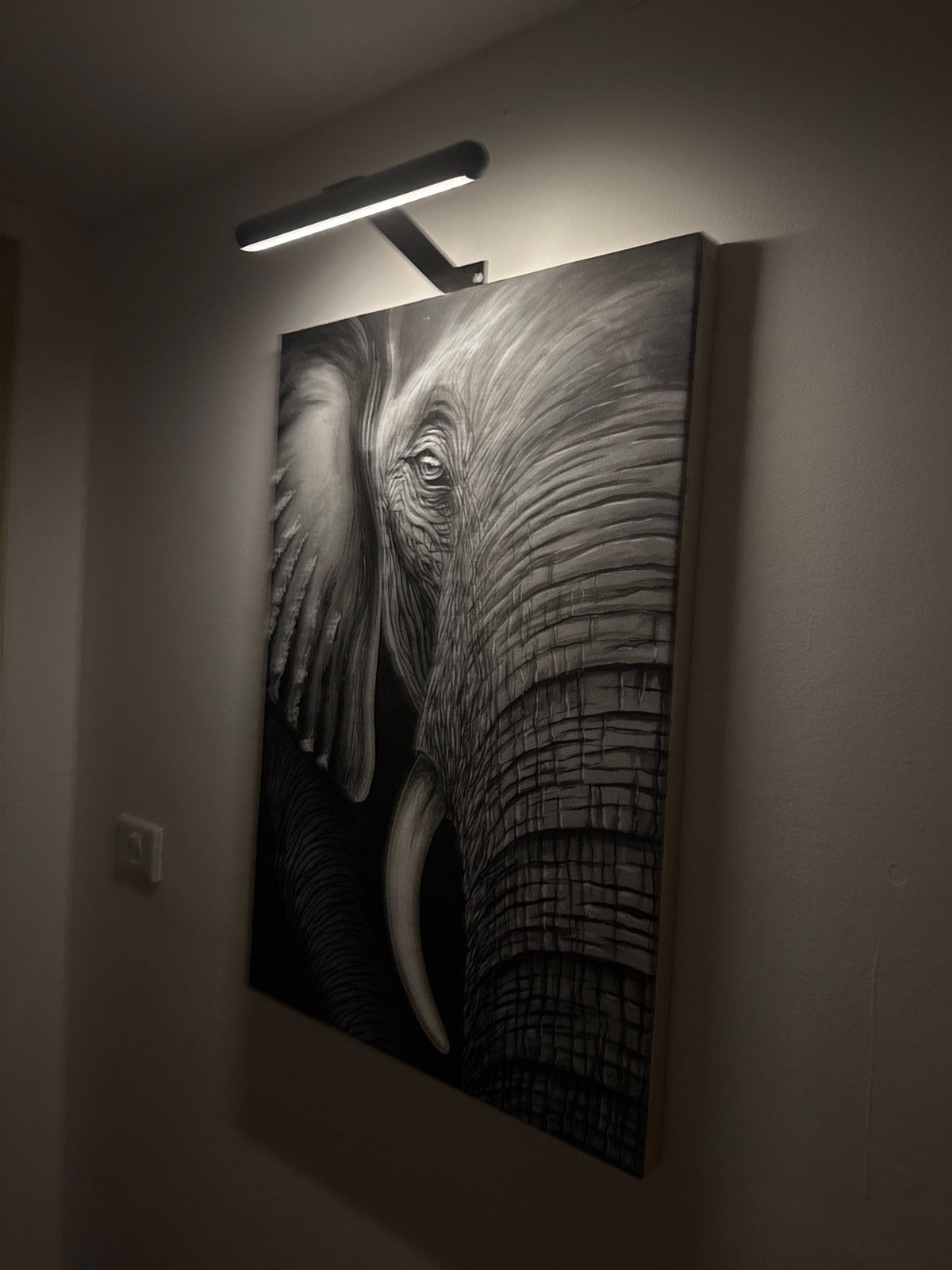 Wireless LED Picture Light – photo 2